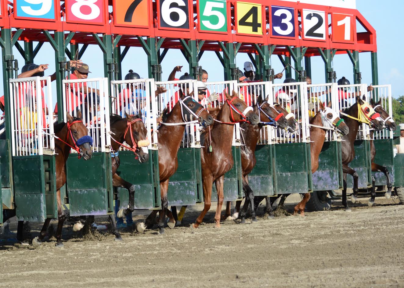Hipódromo Quinto Centenario se llamará Simón Alfonso Pemberton